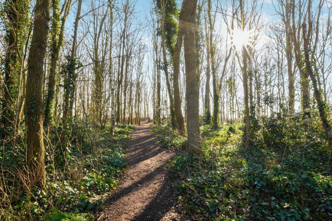 Sunnybeachhouse Aan Het Bos, Tussen Zee En Meer. Noordwijkerhout Εξωτερικό φωτογραφία